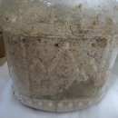 솔잎 유기농쌀막걸리 완성 이미지