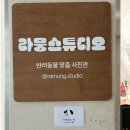 라뭉이네 | [대전강아지사진] 컨셉사진 ‘라뭉스튜디오’ 후기!