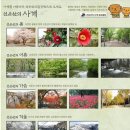제6회 정기산행 4월17일 고창 선운산 도립공원 이미지