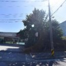 강원프라자약국 이미지