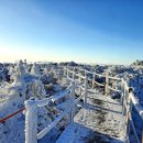 2023년 1월14일(토)~15일(일) 제주도 한라산 눈꽃산행 및 우도관광 안내합니다. 이미지