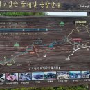 산수유 둘레길 이미지