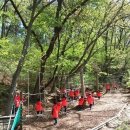 초부리유아숲체험원 이미지