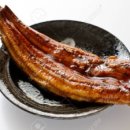 올바른장어 이미지