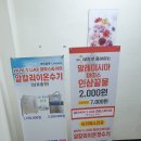 파파스라이어 이미지