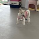 나는 정결! 다음달이 1살♡ 이미지