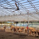 계양축산 이미지