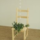 사진찍는더멜