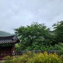 (주)단비 이미지