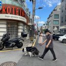 그 해 여름은