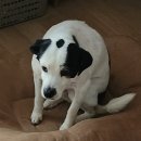 수원시 팔달구 팔달문로115번길 이미지