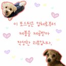 5834 | 언더씽크 정수기 설치 방법 PPU-500 직접 설치 후기 생각보다 쉬운 이유