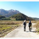 남파랑길 이미지