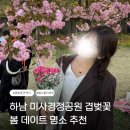 (주)지니오즈 | 서울 인근 미사경정공원 겹벚꽃 군락지 봄 데이트 인생샷 명소 4월 개화상태