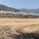 온천강변1길 이미지