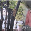 ✔ 이불털다 추락한 60대의 사고 뉴스를 보다가 생각나는 사고 - 손해사정사 이윤석 이미지