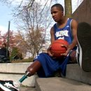 날아라꼬끼오 이미지