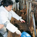 김형수농장 이미지