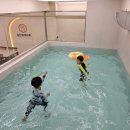 신자초등학교 이미지