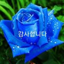 이백님 보소서 이미지