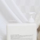 채채블랑 이미지