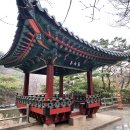 수내2길 티스토리