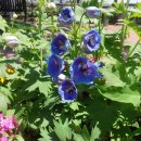 바람의정원 이미지