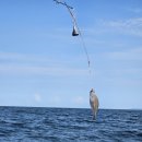 달빛 고래 트레킹 이미지