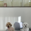 꾸꾸몽 이미지
