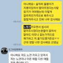 도그비잉 펫케어 이미지