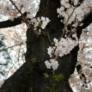 축제 노래연습장 이미지