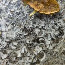 선명사진관 이미지