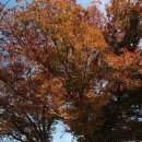 충도3리(상양) 이미지