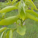 문화농장 이미지