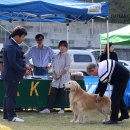 매니아클럽 이미지