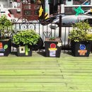 푸른마을유치원 이미지