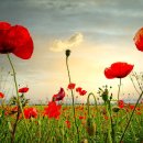 박사건축공인중개사사무소 이미지