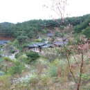 지례예술촌길(임동면) Daum카페