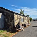 올레 | 제주올레 2코스 탐방후기