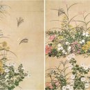 한붓꽃그림