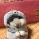훈민정