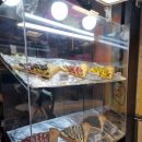 신촌역 앞 오래된 크레페 노점 후기, 재료가 가득 들어가 더 맛있었던 곳
