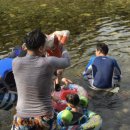 법수치여울목펜션 이미지