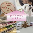 어울림하양숙공인중개사사무소 | [짤리공방] 귀여운 실들이 가득한 짤리뜨개공방 방문 후기❣️