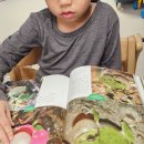 맹꽁이 | [지성사] <와! 맹꽁이다> 서평후기