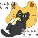 달이 비추는 곳 이미지