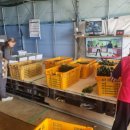 하늘그린 이미지