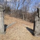 황림 묘 이미지