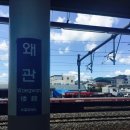 맘보투 네이버블로그