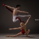 빨래박사 | 빨래박사 회원권 종류 및 가격 정보
